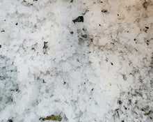 Load image into Gallery viewer, Body Scrubs