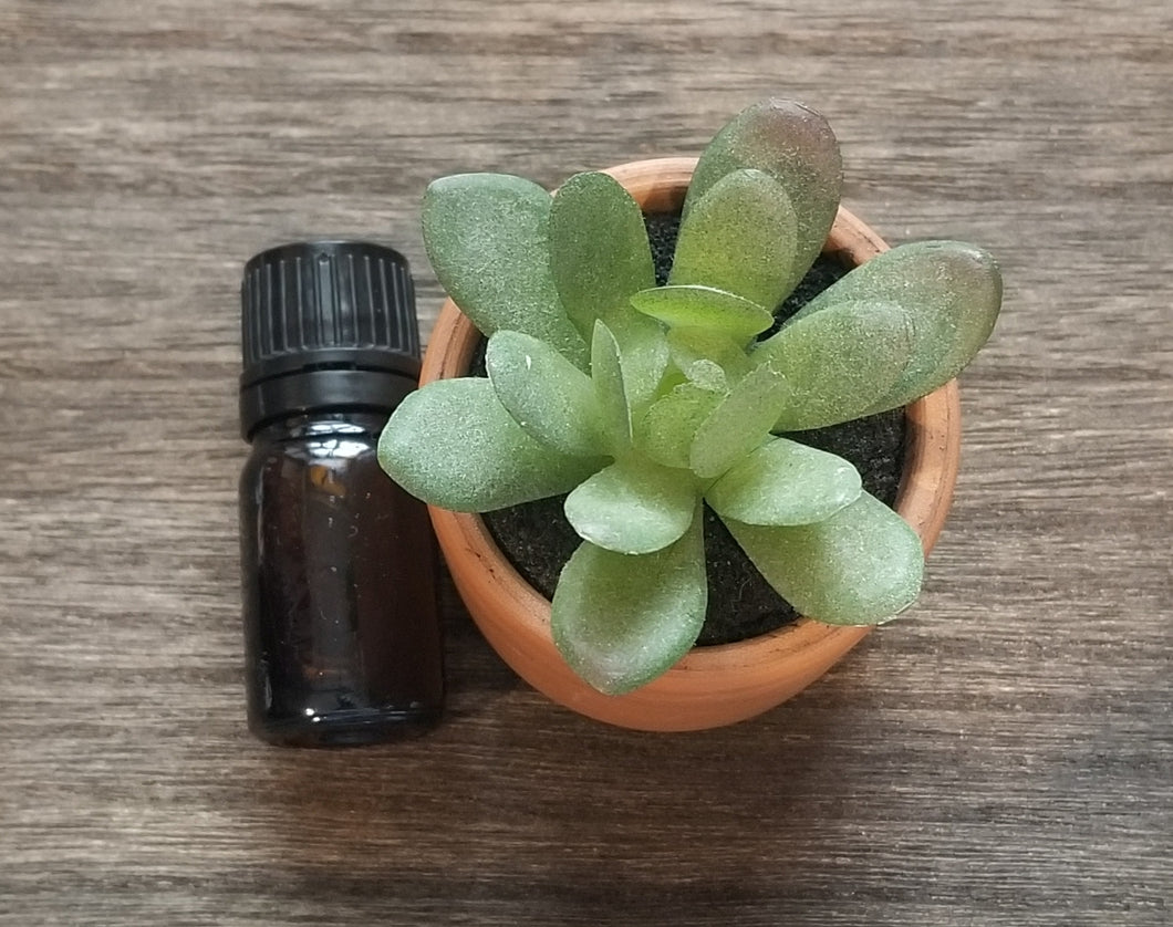 Essential Oil